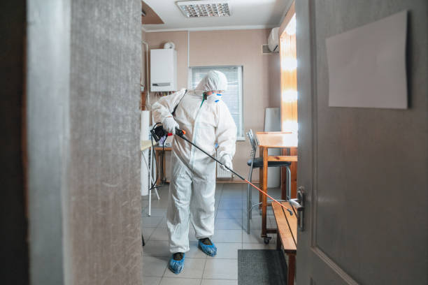 Mold Remediation for Vacation Homes in Monticello, MN